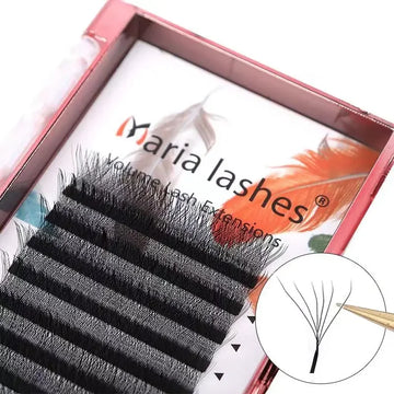 MARIA 6D W Style  Eyelash Extensions Supplies Easy Fan Lashes Wholesales Premade Volume 12 Rows Natural Soft Private Logo