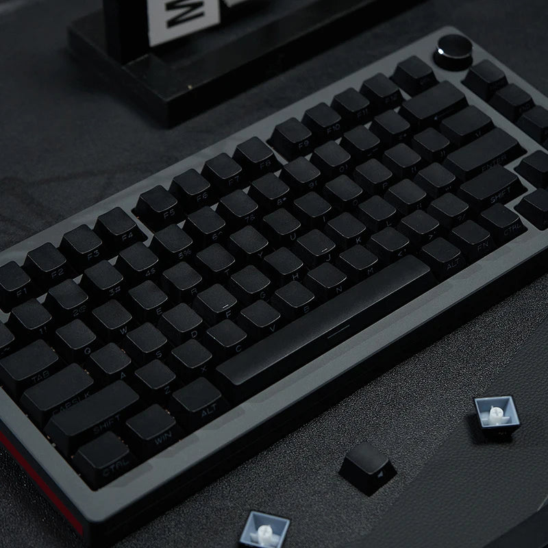 Cherry Profile Black Side Printed Shine Through Keycaps Double Shot RGB Backlit PBT Keycaps 130 Keys for MX Switches Keyboard