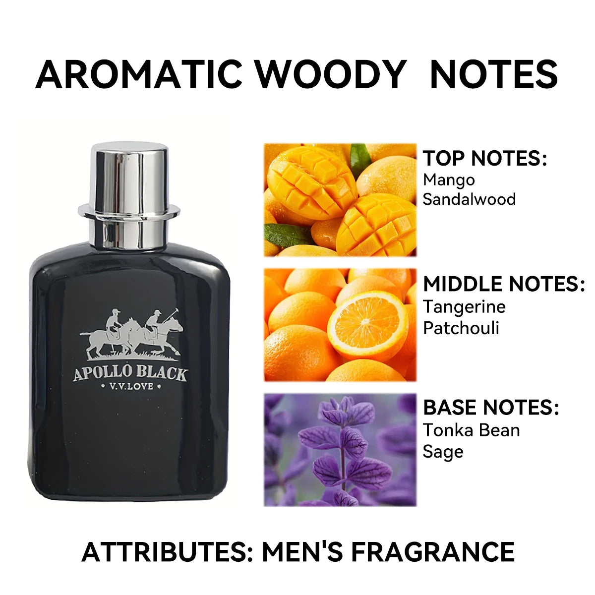 30ML 1.0FL.OZ Apollo Men's Perfume Man, Inspired by Polo EDP Long-Lasting Pheromone Perfume Hombre Cologne Spray Free Shipping - Aurex