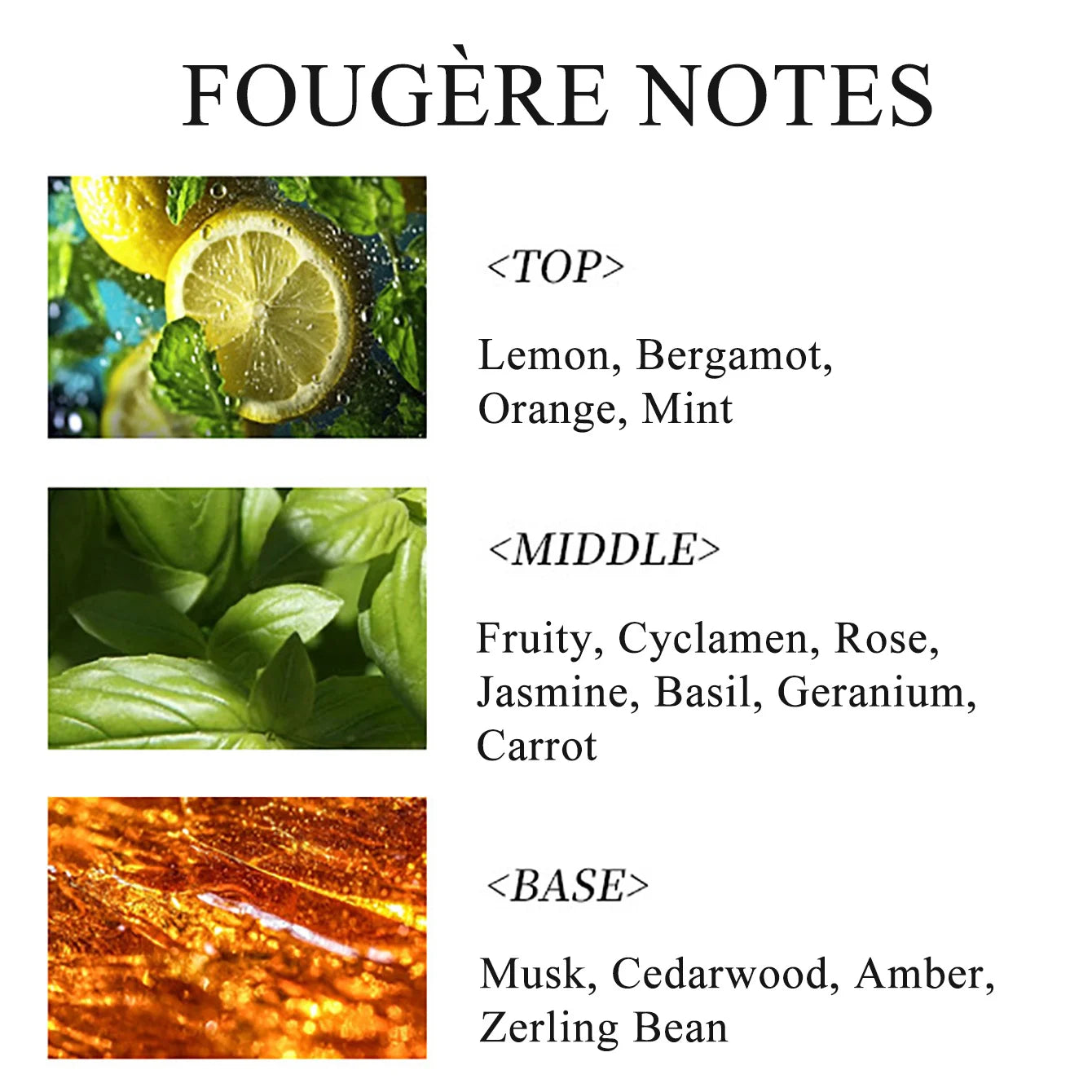 100ML 3.4FL.OZ Fougere Men's Perfume, Long Lasting EDP for Men Fresh Amber Men's Colognes, Lemon, Mint, Rose, Musk Fragrance - Aurex